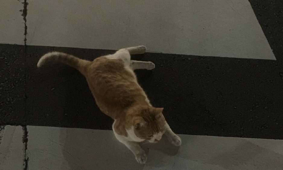 サロンの雰囲気2