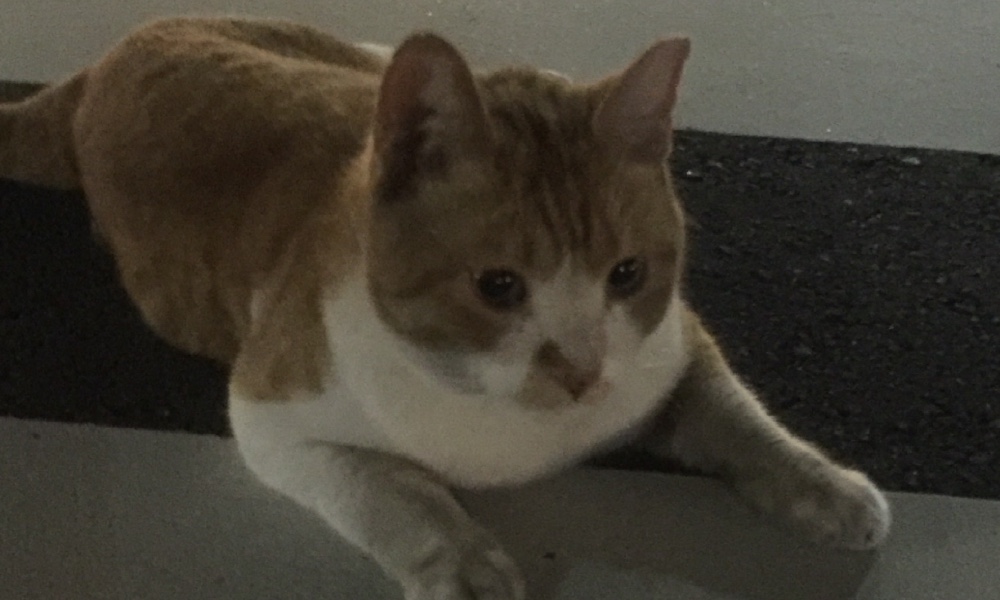 サロンの雰囲気3