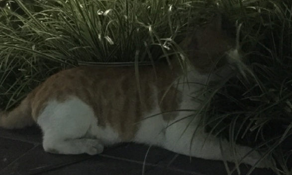 サロンの雰囲気4