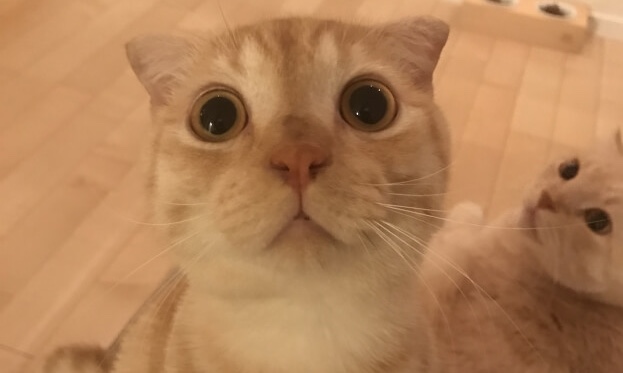 サロンの雰囲気5