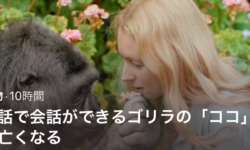 テストサロンのサロン