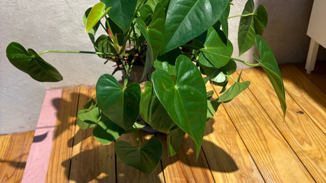 サロンの雰囲気4