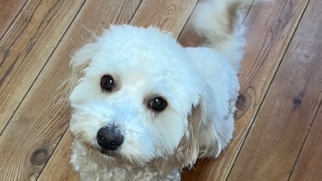 Lucky Charge Salon M