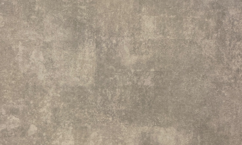 井上　博貴のサロン