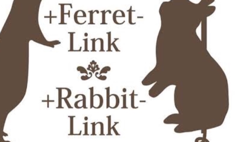 rabbit-link
