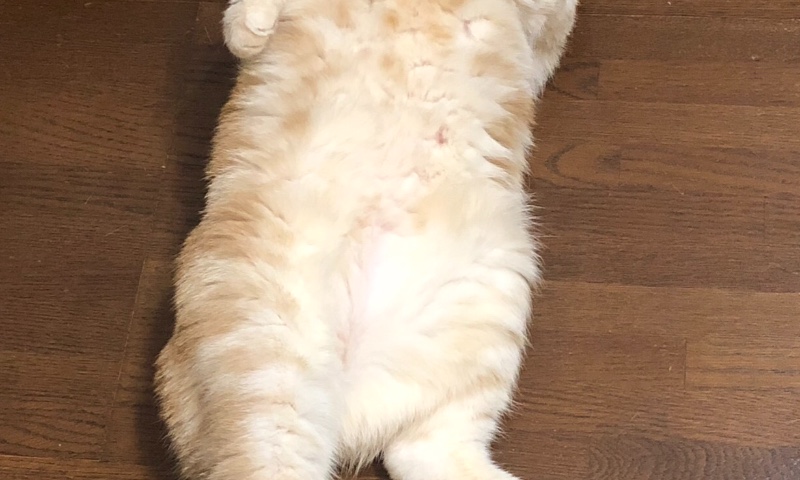 0723てすとさろんのサロン