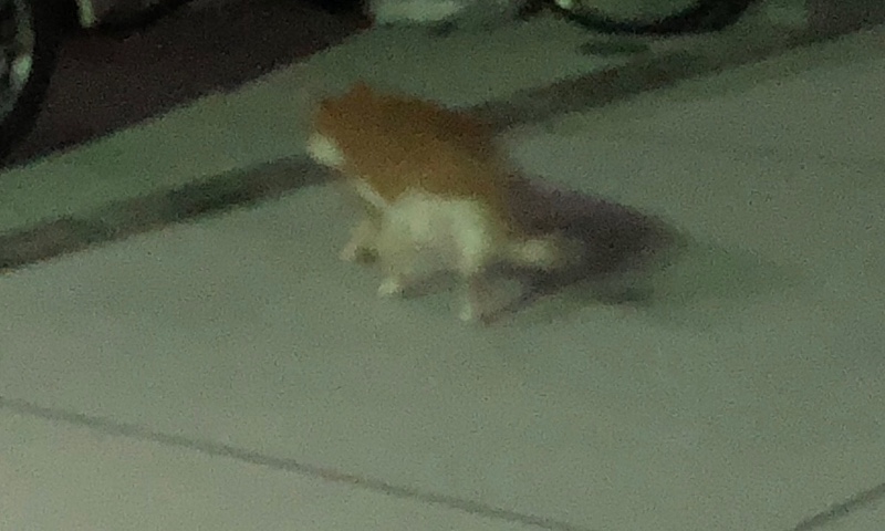 サロンの雰囲気3