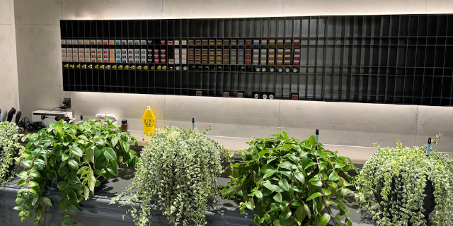 田口一花のサロン