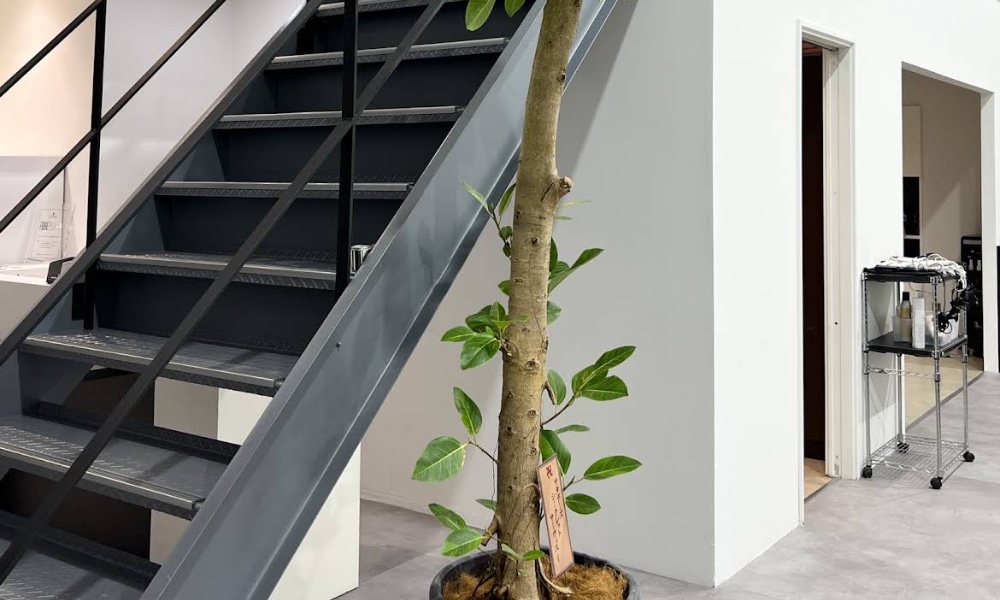 サロンの雰囲気5