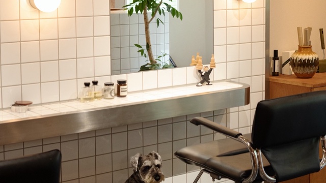 岩波ゆいのサロン